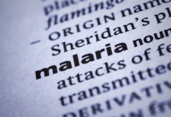 Fighting Malaria on Multiple Fronts