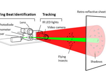 Controlling Citrus Disease with the Photonic Fence